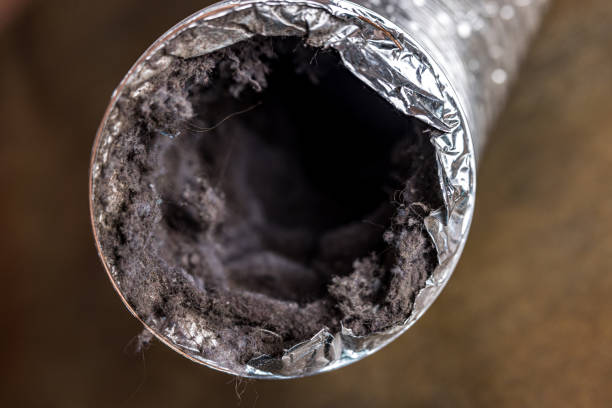 Air Duct Mold Removal in Somerville, TN