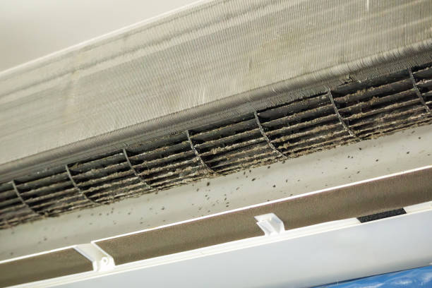 Best Local Air Duct Cleaning Services  in Somerville, TN